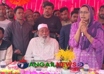 গোপালপুরে ধানের শীষের পক্ষে মহিলাদের উঠান বৈঠক