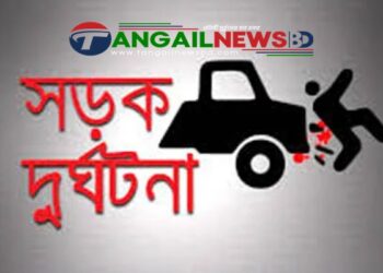 ঘাটাইলে সড়ক দুর্ঘটনায় একজনের মৃত্যু