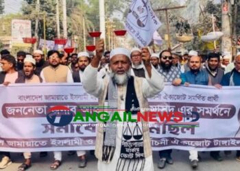 টাঙ্গাইল-৫ আসনে ১০ দলীয় জোটের নির্বাচনী মিছিল ও সমাবেশ