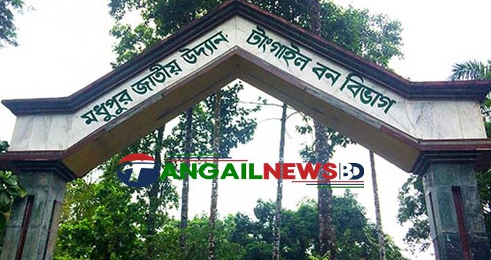 মধুপুরে বন বিভাগের মামলায় অভিযুক্ত ৩৮৭ জনকে খালাস