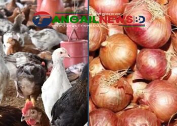 টাঙ্গাইলের বাজারে ভোটের ছুটিতে সরবরাহ কম ॥ দাম বেড়েছে মুরগি-পেঁয়াজের