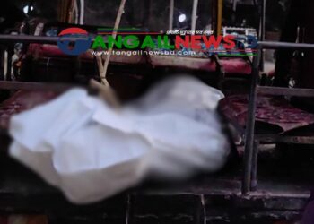 ঘাটাইলের রসুলপুরে দেবরের লাথিতে ভাবির মৃত্যু