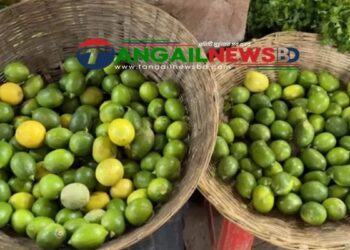 রোজার শুরুতেই টাঙ্গাইলের বাজারে লেবুর ভরি তিনগুণ বেড়েছে