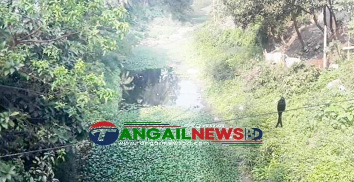 মির্জাপুরে বারুখালি খাল দখল ও দূষণে অস্তিত্ব সংকটে