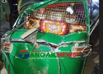 ঘাটাইলের হামিদপুরে সড়ক দুর্ঘটনায় দুই জন নিহত