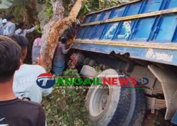 ঘাটাইলের সাগরদিঘীতে সড়ক দুর্ঘটনায় দুইজন নিহত