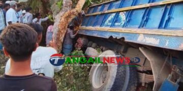 ঘাটাইলের সাগরদিঘীতে সড়ক দুর্ঘটনায় দুইজন নিহত