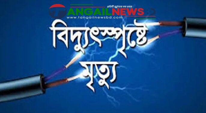 গোপালপুরে বিদ্যুৎস্পৃষ্টে প্রবাস ফেরত ব্যক্তির মৃত্যু
