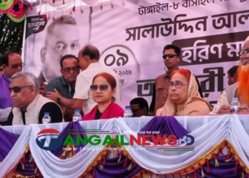 সখীপুরে স্বতন্ত্র প্রার্থী সালাউদ্দিন আলমগীরের আখেরি সমাবেশ ও গণমিছিল