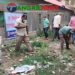কালিহাতী পৌরসভায় ডেঙ্গু-চিকনগুনিয়া রোধে সাপ্তাহিক পরিচ্ছন্নতা অভিযান