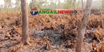 মধুপুরে গাছ নিধনের পর আগুন লাগিয়ে ৭৫ একর বনভূমি জবরদখলের পাঁয়তারা