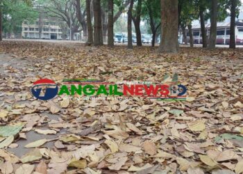 টাঙ্গাইলে ফাগুনে ঝরা পাতার দিন-ধূলি ওড়া বাতাস ॥ পাখির নীড় খোঁজা