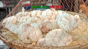 টাঙ্গাইলের বাজারে বেড়েছে মসলা-মুরগির দাম