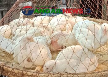 টাঙ্গাইলের বাজারে বেড়েছে মসলা-মুরগির দাম