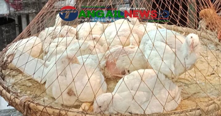 টাঙ্গাইলের বাজারে বেড়েছে মসলা-মুরগির দাম