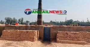 মির্জাপুরে ছাড়পত্র না থাকায় দুই ইটভাটা মালিককে জরিমানা