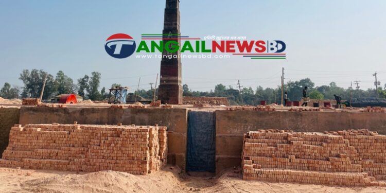 মির্জাপুরে ছাড়পত্র না থাকায় দুই ইটভাটা মালিককে জরিমানা