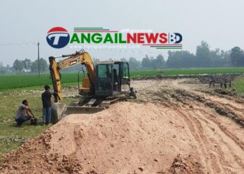 মির্জাপুরে লাখ টাকা জরিমানা দিয়েও থামছে না বিএনপি নেতার মাটিকাটা