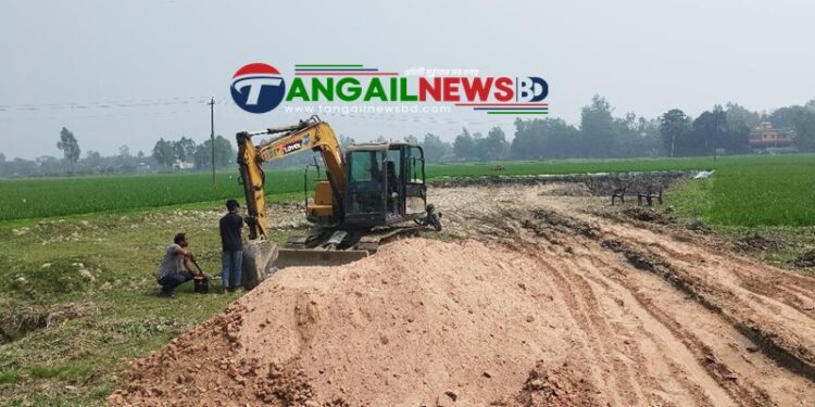 মির্জাপুরে লাখ টাকা জরিমানা দিয়েও থামছে না বিএনপি নেতার মাটিকাটা