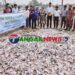 টাঙ্গাইলে জব্দকৃত বিপুল পরিমাণ তামাকজাত পন্য ধ্বংস