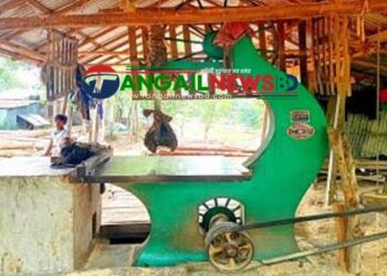 কালিহাতীতে লাইসেন্স বিহীন করাত কলে অভিযানে ২০ হাজার টাকা জরিমানা