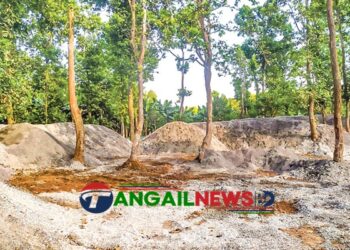 মধুপুর শালবনে নিরবে ও কৌশলে গজারি গাছ হত্যা চলছে