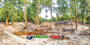 মধুপুর শালবনে নিরবে ও কৌশলে গজারি গাছ হত্যা চলছে