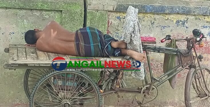 টাঙ্গাইলের প্রকৃতিতে বাড়ছে তাপদাহ ॥ গরমে বিপর্যস্ত জনজীবন