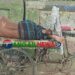 টাঙ্গাইলের প্রকৃতিতে বাড়ছে তাপদাহ ॥ গরমে বিপর্যস্ত জনজীবন