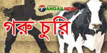 মির্জাপুরের বাঁশতৈলে এক রাতে ৬টি গরু চুরি