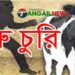 মির্জাপুরের বাঁশতৈলে এক রাতে ৬টি গরু চুরি