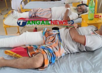 মির্জাপুরে সেনা সদস্যের স্বামীকে তুলে পিটিয়ে পা ভেঙ্গে মালামাল লুট