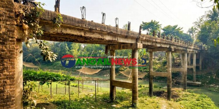 গোপালপুরে হাটবৈরাণ ব্রিজ ঝুঁকির মুখে ॥ এলজিইডি প্রতিমন্ত্রীর পরিদর্শন