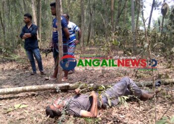 সখীপুরে সংরক্ষিত বনে গাছের নিচে মিলল যুবকের মরদেহ