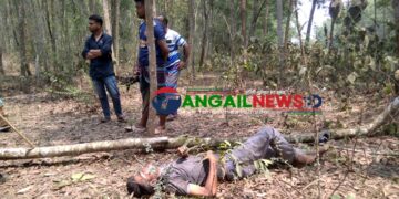 সখীপুরে সংরক্ষিত বনে গাছের নিচে মিলল যুবকের মরদেহ