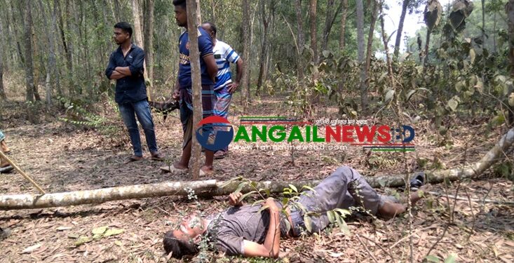 সখীপুরে সংরক্ষিত বনে গাছের নিচে মিলল যুবকের মরদেহ