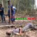 সখীপুরে সংরক্ষিত বনে গাছের নিচে মিলল যুবকের মরদেহ