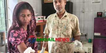 সখীপুরে কুকুরের কামড়ে শিশু ও নারীসহ অন্তত ৫৪ জন আহত