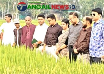 কৃষিকে আধুনিকায়নে কাজ করছে ধান গবেষণা ইনস্টিটিউট- অতিরিক্ত সচিব