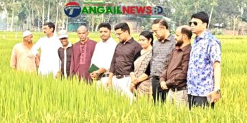 কৃষিকে আধুনিকায়নে কাজ করছে ধান গবেষণা ইনস্টিটিউট- অতিরিক্ত সচিব