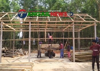 টাঙ্গাইলের তিন উপজেলায় বন ঘিরে ৩০৭ অবৈধ করাতকল