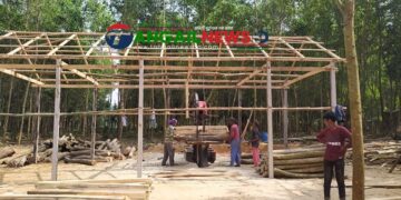 টাঙ্গাইলের তিন উপজেলায় বন ঘিরে ৩০৭ অবৈধ করাতকল