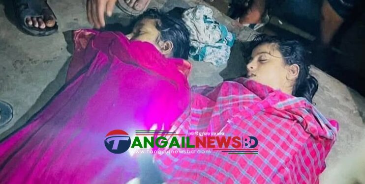 ঘাটাইলে পুকুরে ডুবে দুই মাদ্রাসা ছাত্রীর মৃত্যু