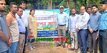 টাঙ্গাইলের মহাসড়কে সোনালু-জারুল-নিমের চারা রোপণ