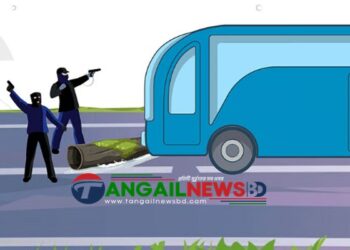 দেলদুয়ার-পাকুল্যা সড়কে রাতে গাছ ফেলে ডাকাতি