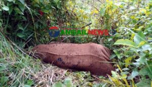 মির্জাপুরে মাটি খুঁড়ে মা ও নবজাতকের বস্তাবন্দি লাশ উদ্ধার