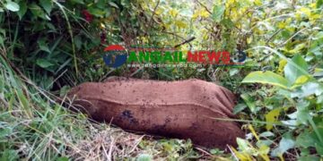 মির্জাপুরে মাটি খুঁড়ে মা ও নবজাতকের বস্তাবন্দি লাশ উদ্ধার