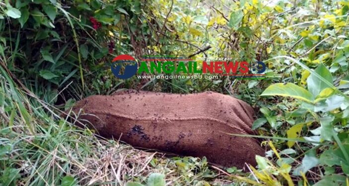 মির্জাপুরে মাটি খুঁড়ে মা ও নবজাতকের বস্তাবন্দি লাশ উদ্ধার