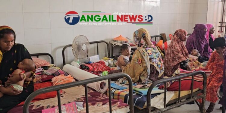 টাঙ্গাইল হাসপাতালে হামে আক্রান্ত আরও এক শিশু কন্যার মৃত্যু