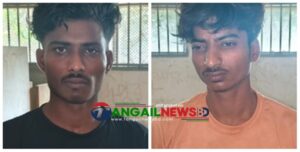 নাগরপুরে ২২ পিস ইয়াবাসহ দুই সহোদর গ্রেফতার